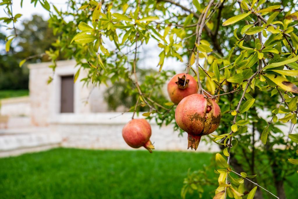 Masseria Paretano Villa Alberobello Buitenkant foto